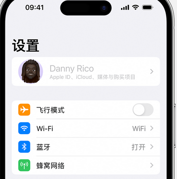 白鹭湖管理区appleID维修服务iPhone设置中Apple ID显示为灰色无法使用 