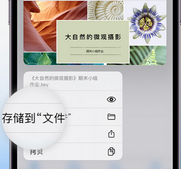 白鹭湖管理区apple维修中心分享iPhone文件应用中存储和找到下载文件