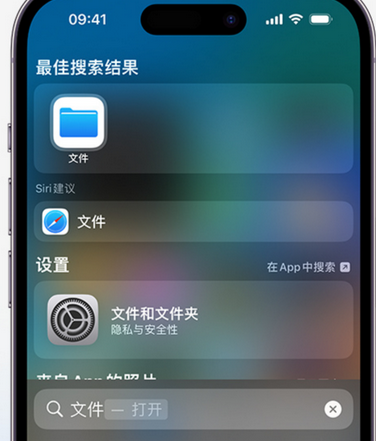 白鹭湖管理区apple维修中心分享iPhone文件应用中存储和找到下载文件