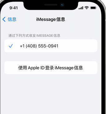 白鹭湖管理区apple维修iPhone上无法正常发送iMessage信息 