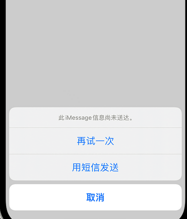 白鹭湖管理区apple维修iPhone上无法正常发送iMessage信息