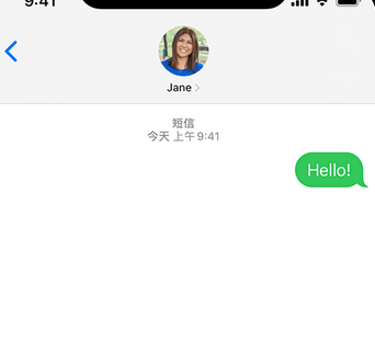 白鹭湖管理区apple维修iPhone上无法正常发送iMessage信息