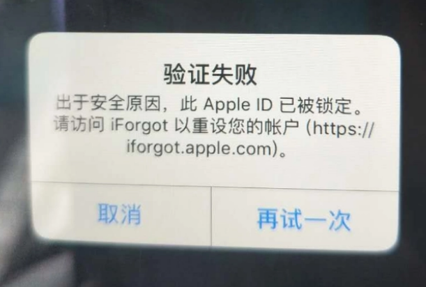 白鹭湖管理区iPhone维修分享iPhone上正常登录或使用AppleID怎么办 