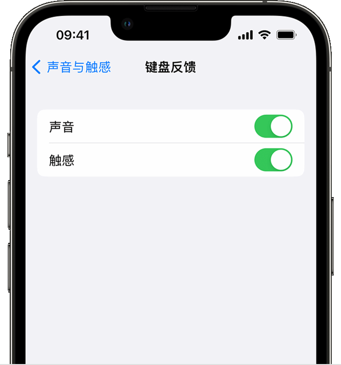 白鹭湖管理区苹果14维修店分享如何在 iPhone 14 机型中使用触感键盘 