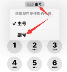 白鹭湖管理区苹果14维修店分享iPhone 14 Pro Max使用副卡打电话的方法 