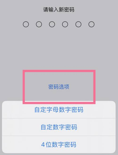 白鹭湖管理区苹果14维修分享iPhone 14plus设置密码的方法 