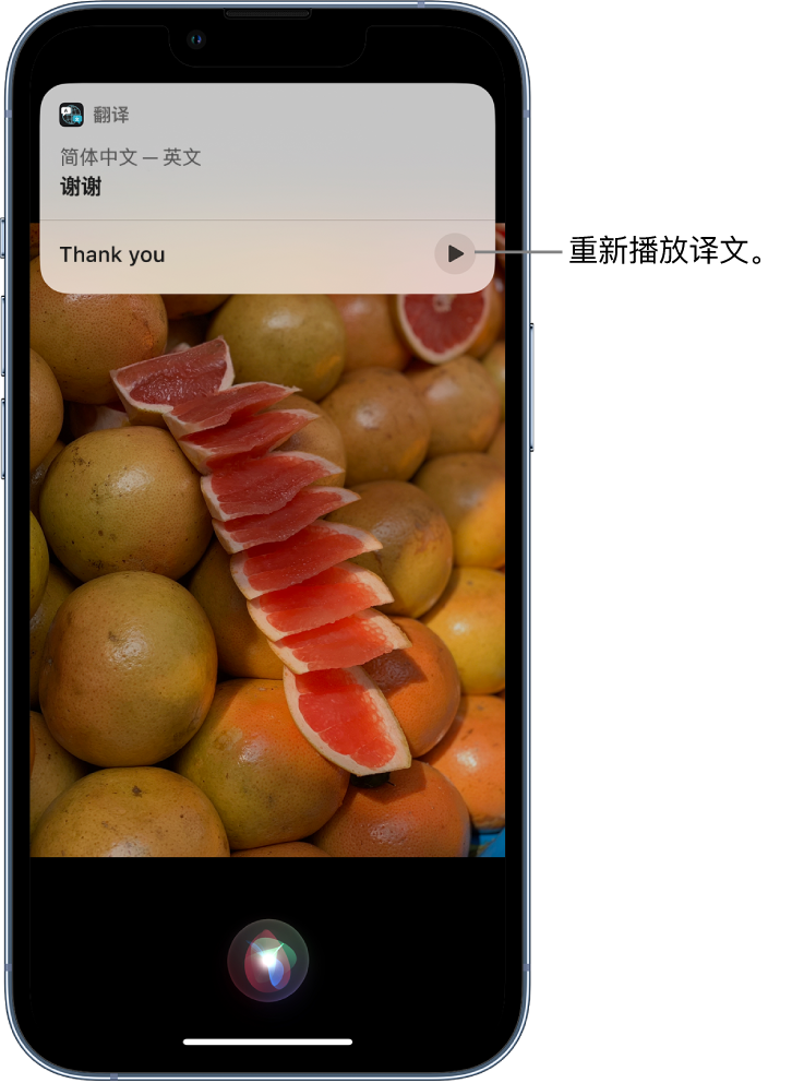 白鹭湖管理区苹果14维修分享 iPhone 14 机型中使用 Siri：了解 Siri 能帮你做什么 