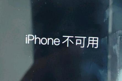 白鹭湖管理区苹果服务网点分享锁屏界面显示“iPhone 不可用”如何解决 