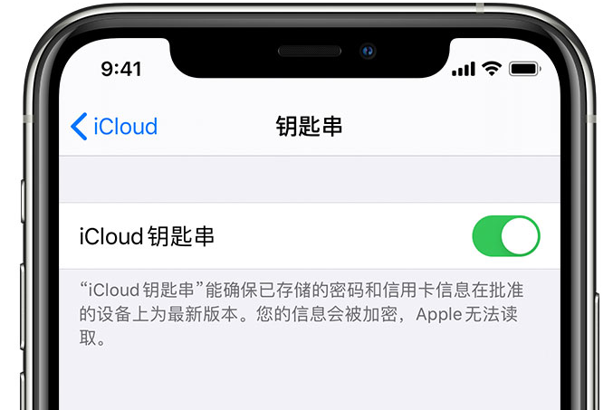 白鹭湖管理区苹果手机维修分享在 iPhone 上开启 iCloud 钥匙串之后会储存哪些信息 