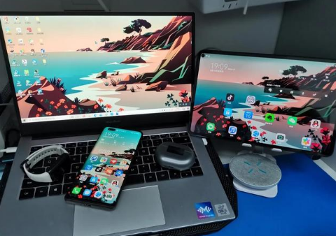 白鹭湖管理区苹果手机维修分享为什么iPad屏幕更大价格却比iPhone低 