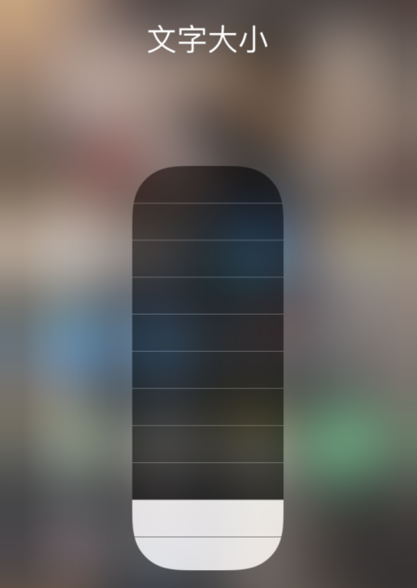 白鹭湖管理区苹果手机维修分享小技巧：在 iPhone 控制中心快速调节字体大小 