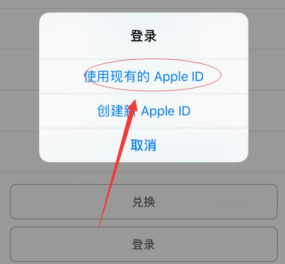 白鹭湖管理区苹果手机维修分享两台iPhone设备可以同时登录一个Apple ID吗 