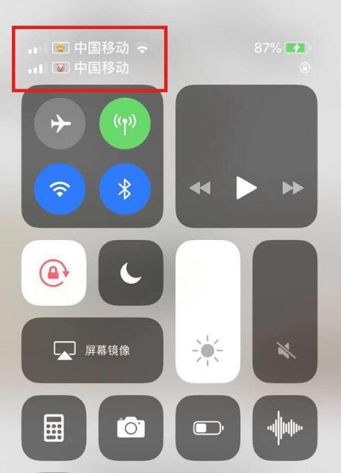 白鹭湖管理区苹果手机维修分享为 iPhone 12 双卡设置标签 