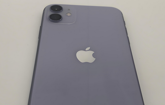 白鹭湖管理区苹果11系统维修分享iPhone11手机系统崩溃无法开机如何解决