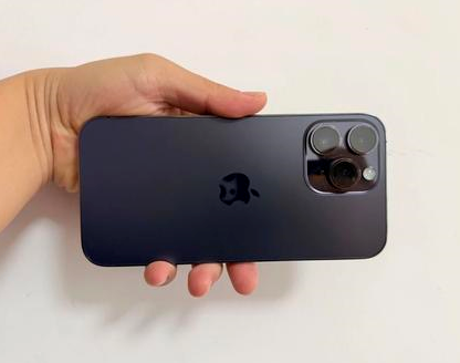白鹭湖管理区苹果维修点分享iPhone 14 Pro Max发烫多重诱因剖析 